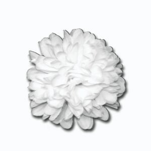 alt= "White 5.5 inch football mum flower"