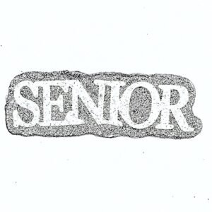 Foam - 4.5" SENIOR (12 pc) - Silver / White