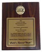 CAST - 8x10 CAST Special Service Award Plaque