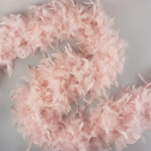 Feathers - Chandelle Heavyweight Feather Boa 6ft - Champagne