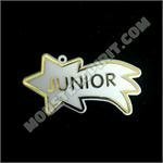 Trinket - Class - Junior  Shooting Star - (12pc) - White / Gold