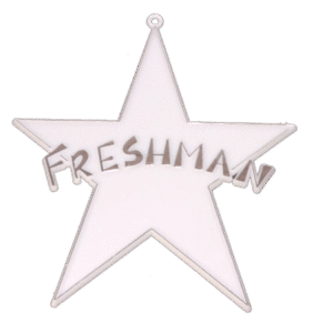 Trinket - Class - Freshman Star - (12pc) - White / Silver