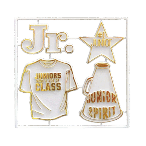 Trinket - Class - Junior Star Charm - (12pc) - White / Gold