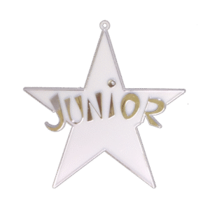 Trinket - Class - Junior Star - (12pc) - White / Silver