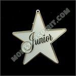 Trinket - Class - Junior Script Star - (12pc) - White / Gold