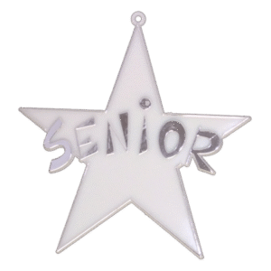 Trinket - Class - Senior Star - (12pc) - White / Silver