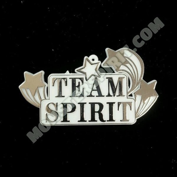 Trinket - "Team Spirit" w/ Stars - (12pc) - White / Silver