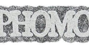 Foam - 6" SOPHOMORE - 12 pc