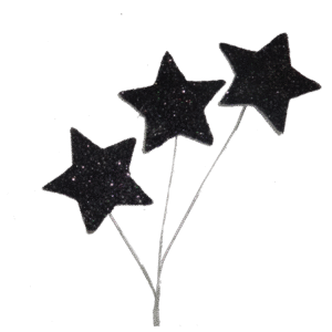 Trinket - Glitter Star Spray - 12pc - Black