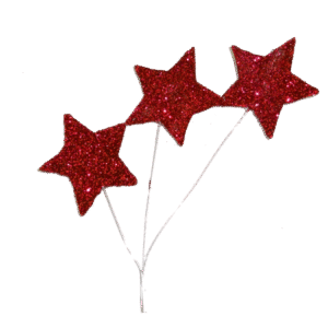 Trinket - Glitter Star Spray - 12pc - Red