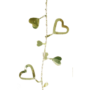 Garland - Wire Foil Mylar Open Heart Garland - 25ft - Metallic Gold