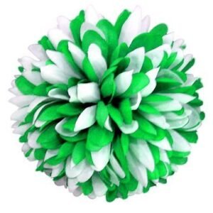Flower - Mum - 6.5" Two-Toned Colored Mum (12 pc) - Emerald Green / White
