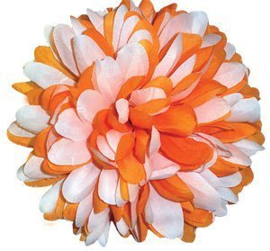 Flower - Mum - 6.5" Two-Toned Colored Mum (12 pc) - Orange / White