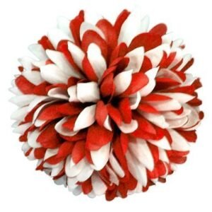 Flower - Mum - 6.5" Two-Toned Colored Mum (12 pc) - Red / White