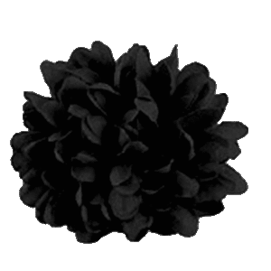 Flower - Mum - 4" Colored Mum 8 layer (12 Pc) - Black