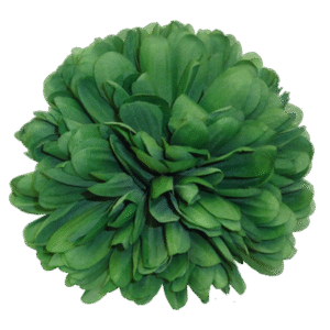 Flower - Mum - 6.5" Solid Colored Mum (12 pc) - Emerald Green