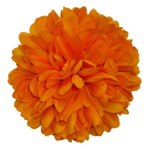 Flower - Mum - 6.5" Solid Colored Mum (12 pc) - Orange