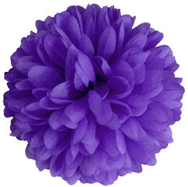 Flower - Mum - 6.5" Solid Colored Mum (12 pc) - Purple