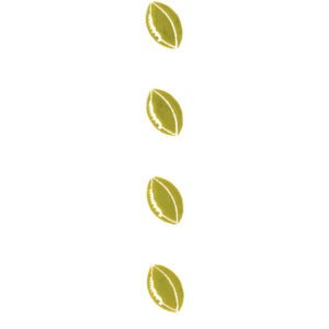 #5 Clear Gold Football Ribbon