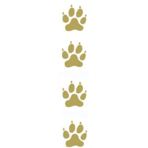 Clear Gold Paw Ribbon