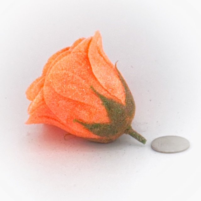 Neon Orange glitter rose