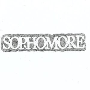 Foam - 6" SOPHOMORE (12 pc) - Silver / White
